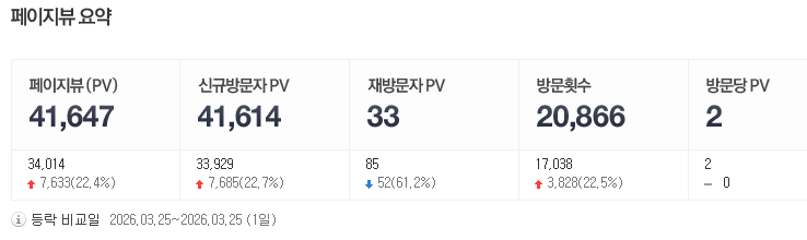 페이지뷰 실측 데이터